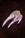 Savage Fang Knuckles