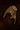 Damascene Knuckles