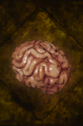Dweller's Brain.png