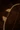 Damascene Bow