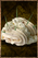 Spiny Meringue.png