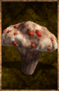 Blood Mushroom.png