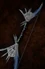 Galvanic Bow