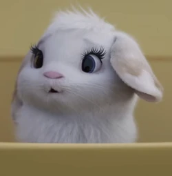 Over The Moon Wiki Fandom