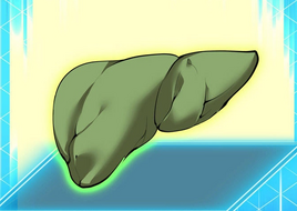 Big Poisonous Rat's Gallbladder