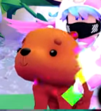 A Rainbow Shiny Bear.