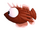 Lion Fish