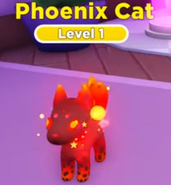 A Shiny Phoenix Cat.