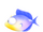 Trigger Fish
