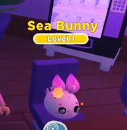 A Shiny Sea Bunny.