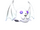 Ghost Bat