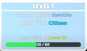Player Level Information Menu UI