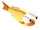 Carp