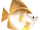 Batfish