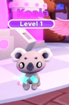 A Rainbow Shiny Koala.