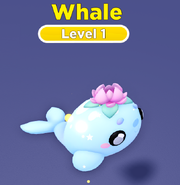 A Shiny Whale.