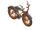 Reindeer Bike