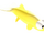 Beluga Sturgeon