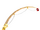 Spring Fishing Rod