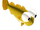 Atlantic Cod