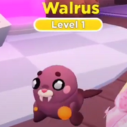 A Shiny Walrus.