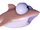 Cookiecutter Shark