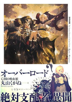 Overlord　オーバーロード　亡国の吸血姫 OVERLORD オーバーロード 亡国の吸血姫 特典小説 中古 △WZ238