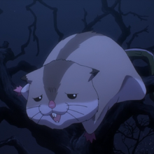 Hamsuke Overlord Wiki Fandom I love anime and funny things and bacon. hamsuke overlord wiki fandom