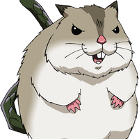 Hamsuke Overlord Wiki Fandom Ainz referred to her as a djungarian hamster despite the fact that real hamsters do not have long scaled. hamsuke overlord wiki fandom