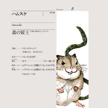 Hamsuke Overlord Wiki Fandom You know, djungarian hamsters, aren't monters from yggdrasil (well, maybe they can, but who knows) but you know, actual real hamsters you can google search it. hamsuke overlord wiki fandom