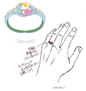 Rigrit's Ring Databook.png (161 KB)