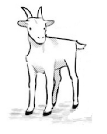 Goat Overlord Wiki Fandom Copyright law because it is noncommercial. goat overlord wiki fandom
