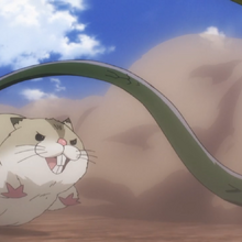 Hamsuke Overlord Wiki Fandom Hamsuke vs erya uzruth overlord season 3 episode 7 anime fight moment from summer 2018 season. hamsuke overlord wiki fandom