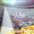 Sudden Noise.jpg