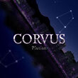 Corvus