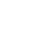 IconShield.png