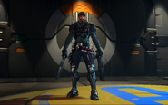 Reaper Blackwatch Skin