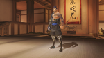 Hanzo classic