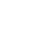 ZaryaProjectedBarrierIcon.png
