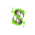 Valete De Paus (Predefinição:Anniversary)