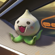Pachimari