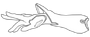 IconTriShot.png