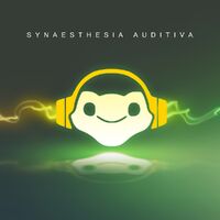 SynAud Cover