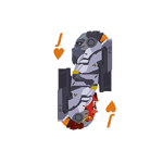 Valete De Copas (Predefinição:Anniversary)