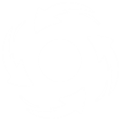 Orisa's Halt! ablility