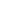 Ability-bastion4.png