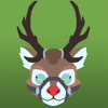 Reindeer