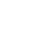 Ability-bastion3.png
