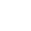 Barrier Shield.png