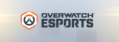 Overwatch Esports Banner